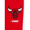 Pro Standard NBA Boys Big Boys NBA Classic Chenille Fleece Sweatpant(Red)