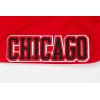 Pro Standard NBA Boys Big Boys NBA Classic Chenille Fleece Sweatpant(Red)