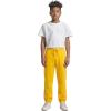 Pro Standard NBA Boys Big Boys NBA Classic Chenille Fleece Sweatpant(Yellow)