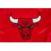 Pro Standard NBA boys Pro Standard Big Boys Nba Classic Chenille Satin Jacket(Red)