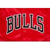 Pro Standard NBA boys Pro Standard Big Boys Nba Classic Chenille Satin Jacket(Red)
