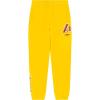 Pro Standard NBA Boys Big Boys NBA Classic Chenille Fleece Sweatpant(Yellow)