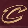Mens NBA Classic Chenille Cotton Double Knit Athletic Short(Wine)