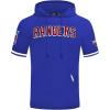 Pro Standard NHL mens Mens Nhl Classic Chenille Cotton Double Knit Short Sleeve Hoodie(Team Color)