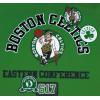 Pro Standard Mens NBA Classic Chenille Pull Over Hoodie(Kelly Green)