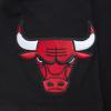 Pro Standard NBA Mens Mens NBA Echo Logo Cotton Short Sleeve Tee(Black)