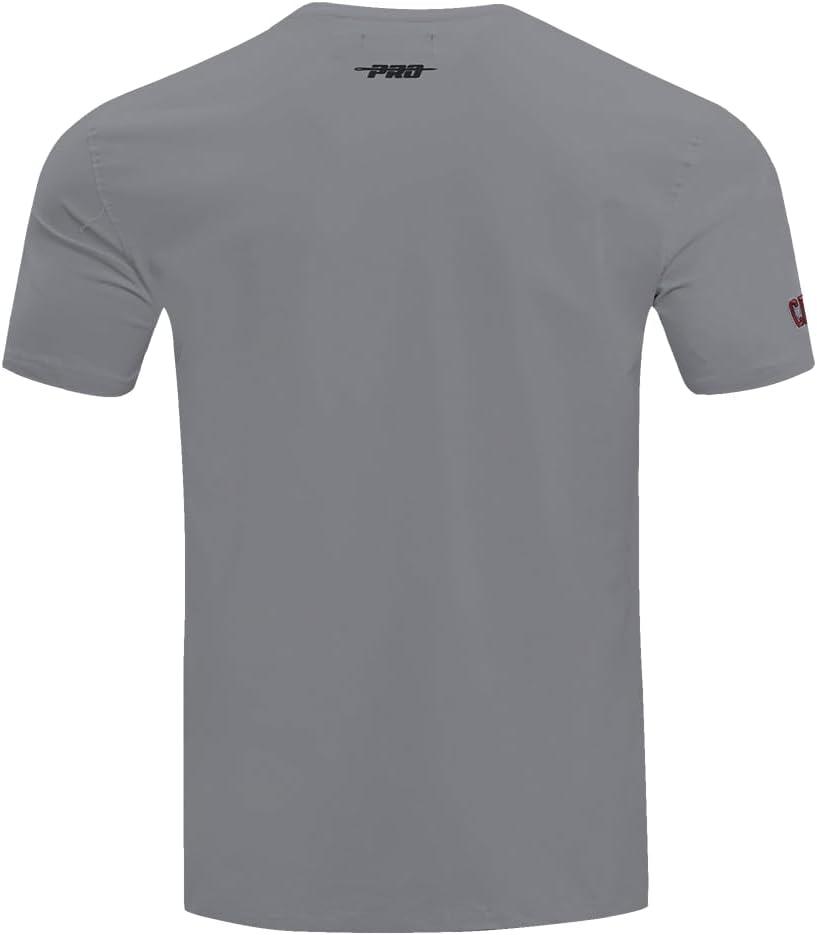 image:imageMens College Classic Chenille Short Sleeve TeeGray