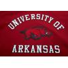 Mens College Classic Chenille Short Sleeve Tee(Cardinal Red)