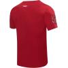 Mens College Classic Chenille Short Sleeve Tee(Cardinal Red)
