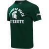 Mens College Classic Chenille Short Sleeve Tee(Forest Green)