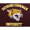 Mens College Classic Chenille Short Sleeve Tee(Wine)
