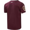 Mens College Classic Chenille Short Sleeve Tee(Wine)