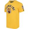 Mens College Classic Chenille Short Sleeve Tee(Yellow)