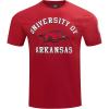 Mens College Classic Chenille Short Sleeve Tee(Cardinal Red)